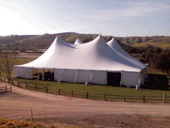 100ft X 100ft Twin Pole Tent