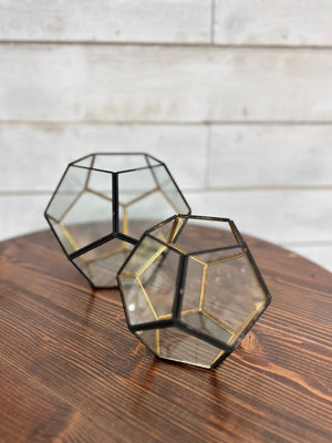 Hexagon Terrariums