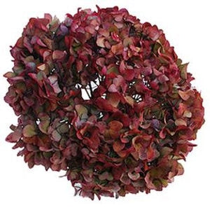 Stems In Bulk: Cranberry Antique Enhanced Hydrangea